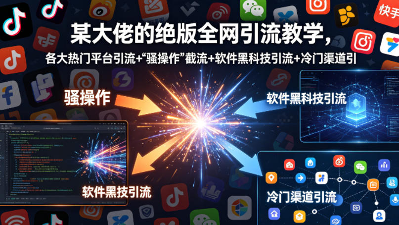 某大佬的绝版全网引流教学，各大热门平台引流+-HEIXMI（中国站）