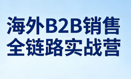 雨哥·海外B2B销售全链路实战营-HEIXMI（中国站）