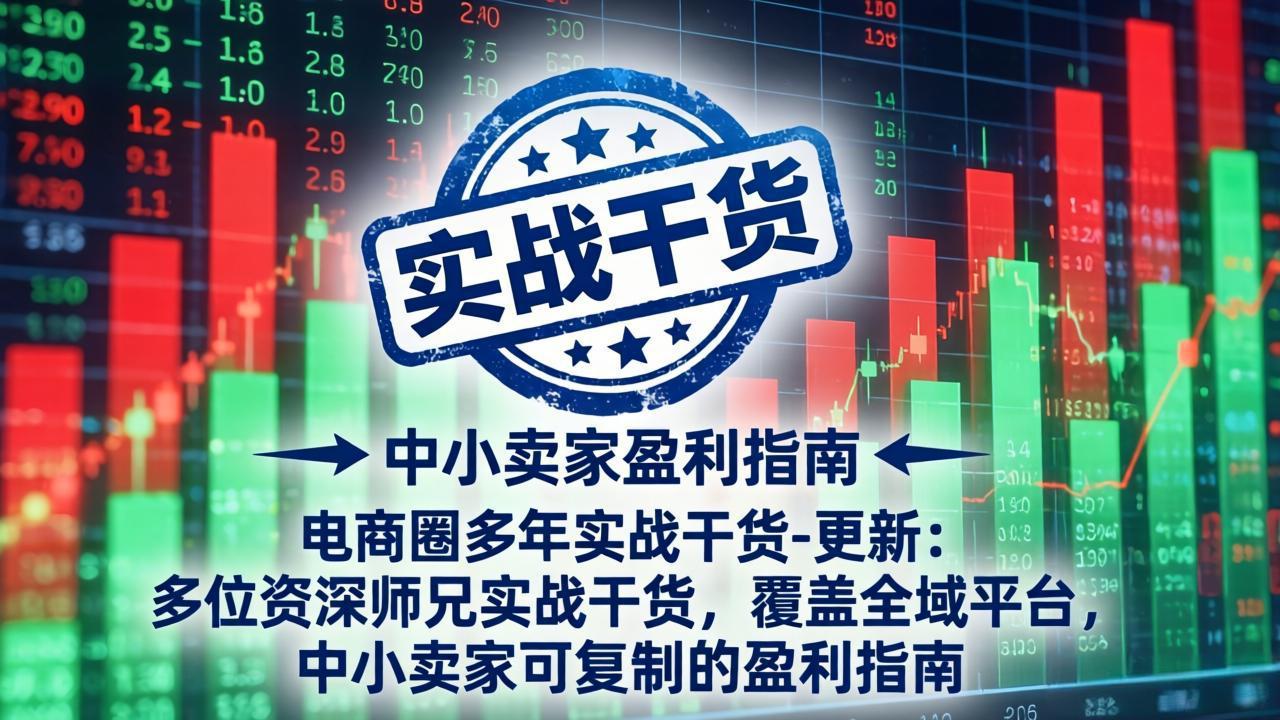 电商圈多年实战干货-更新4月：多位资深师兄实战干货，覆盖全域平台，中小卖家可复制的盈利指南-HEIXMI（中国站）