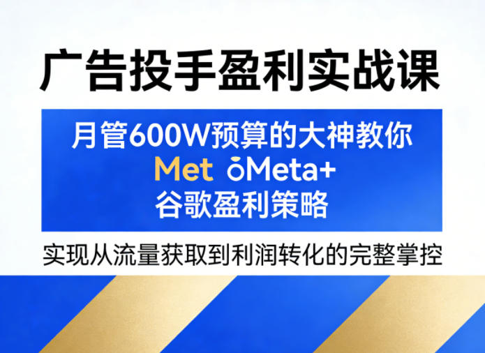 广告投手盈利实战课，月管600W预算的大神教你Meta+谷歌盈利策略，实现从流量获取到利润转化的完整掌控-HEIXMI（中国站）