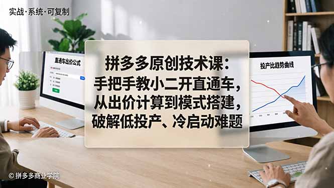 拼多多原创技术课：手把手教小二开直通车，从出价计算到模式搭建，破解低投产、冷启动难题-HEIXMI（中国站）