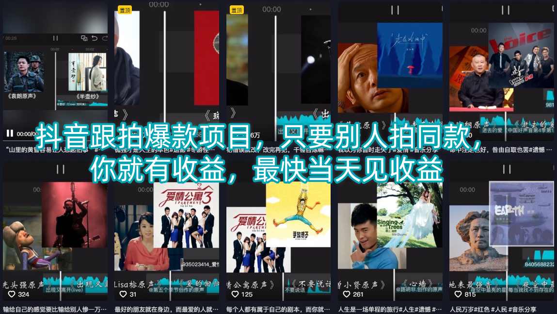 抖音跟拍爆款项目，只要别人拍同款，你就有收益，最快当天见收益-HEIXMI（中国站）