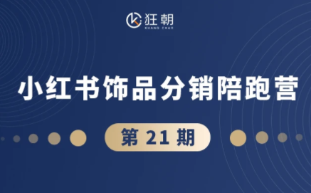 盗坤·抖音小红书视频号短视频带货与直播变现(11-21期)【更新】-HEIXMI（中国站）