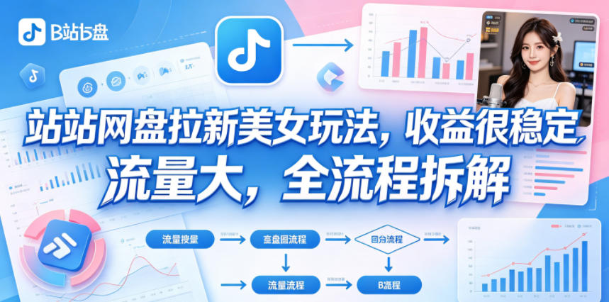 B站网盘拉新美女玩法，收益很稳定，流量大，全流程拆解-HEIXMI（中国站）