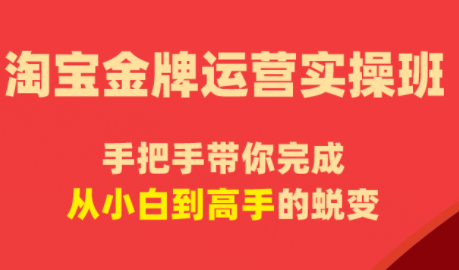 飓风电商·淘宝金牌运营实操班-HEIXMI（中国站）