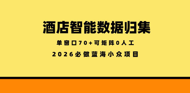 酒店智能数据归集，小众蓝海已经稳定半年之久，单窗口70+零成本矩阵开干【揭秘】-HEIXMI（中国站）