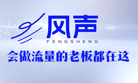 董十一·风声短视频AI获客年度会员-HEIXMI（中国站）