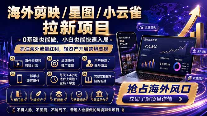 海外剪映 / 星图 / 小云雀拉新项目 普通人也能上手的跨境流量变现副业-HEIXMI（中国站）