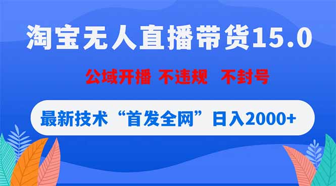 淘宝无人直播带货15.0，不封号，不违规，公域玩法，首发全网日入2000+-HEIXMI（中国站）