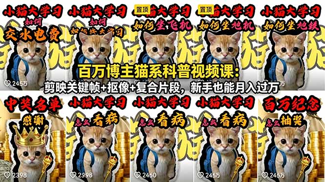 百万博主猫系科普视频课：剪映关键帧+抠像+复合片段，新手也能月入过万-HEIXMI（中国站）