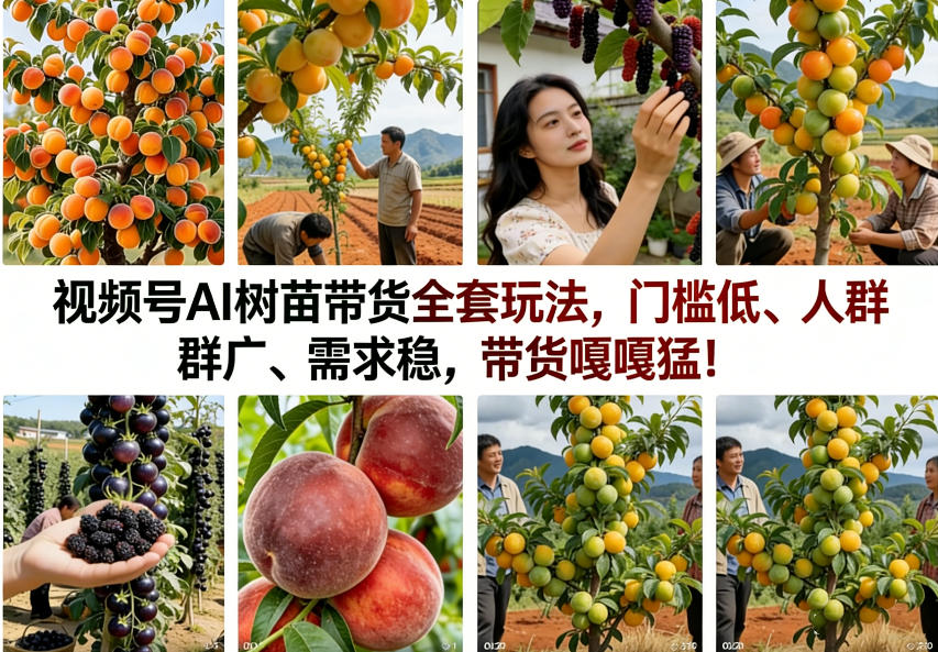 视频号AI树苗带货全套玩法，门槛低、人群广、需求稳，带货嘎嘎猛！(更新0426)-HEIXMI（中国站）