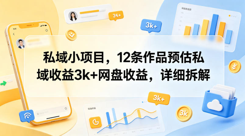 私域小项目，12条作品预估私域收益3k+网盘收益，详细拆解-HEIXMI（中国站）