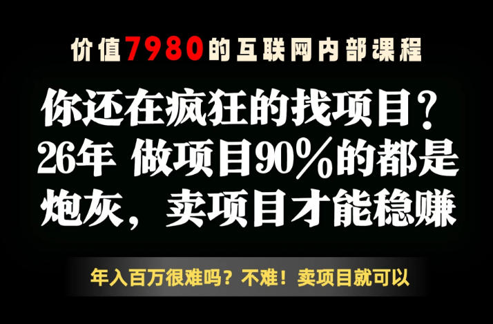 26年请不要疯狂的找项目了，卖项目远比你想象的暴利，你也可以月入10W+【揭秘】-HEIXMI（中国站）