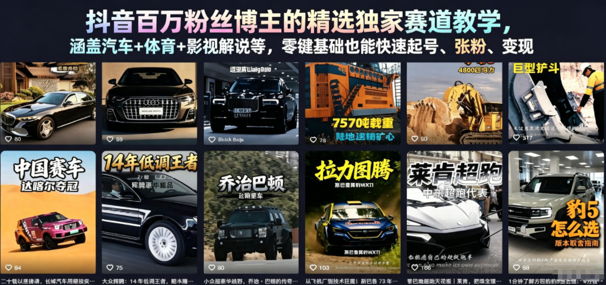 抖音百万粉丝博主的精选独家赛道教学，涵盖汽车+体育+影视解说等，零基础也能快速起号、涨粉、变现-HEIXMI（中国站）