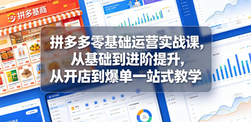 拼多多零基础运营实战课，从基础到进阶提升，从开店到爆单一站式教学-HEIXMI（中国站）