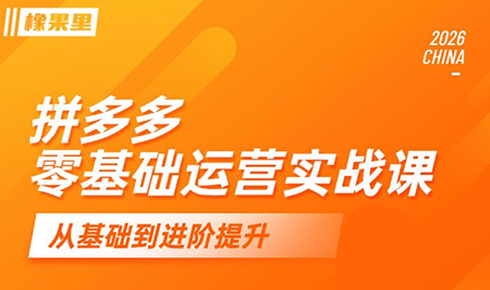 仙道电商·拼多多零基础运营实战课-HEIXMI（中国站）