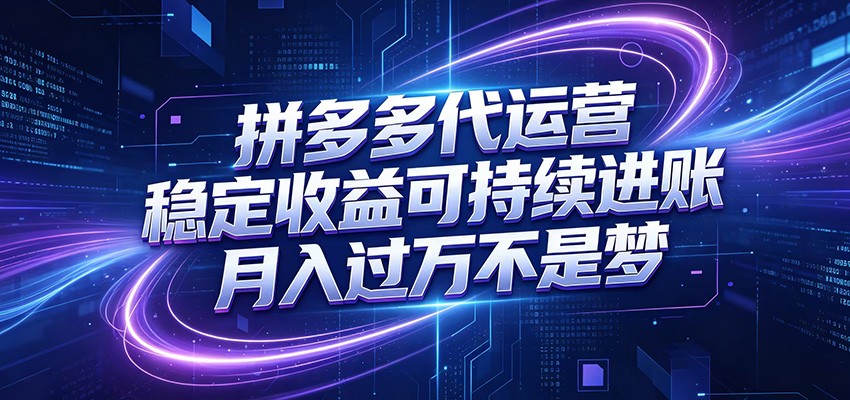 拼多多代运营，小白也能轻松月入过万，真实运营数据可查，全托管代运营-HEIXMI（中国站）
