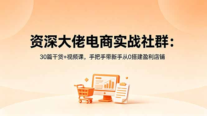 资深大佬电商实战社群：30篇干货+视频课，手把手带新手从0搭建盈利店铺-HEIXMI（中国站）