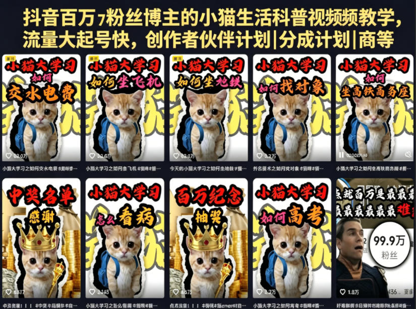 抖音百万粉丝博主的小猫生活科普视频教学，流量大起号快，创作者伙伴计划|分成计划|商单|收徒等-HEIXMI（中国站）