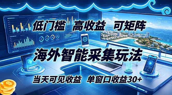 海外智能采集玩法，低门槛高单价可矩阵，当天可见收益，单窗口30+-HEIXMI（中国站）