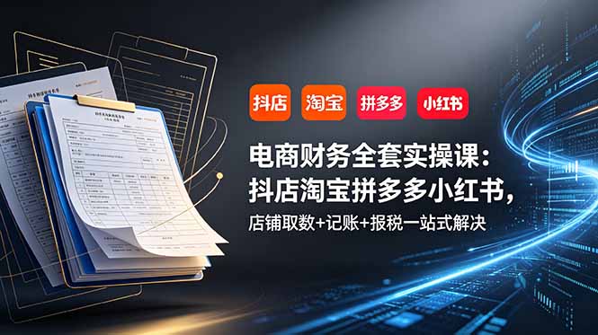 电商财务全套实操课：抖店淘宝拼多多小红书，店铺取数+记账+报税一站式解决-HEIXMI（中国站）