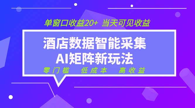 2026酒店数据采集ai智能矩阵新风口  低成本   高收益   当天见收益   单窗口20+-HEIXMI（中国站）