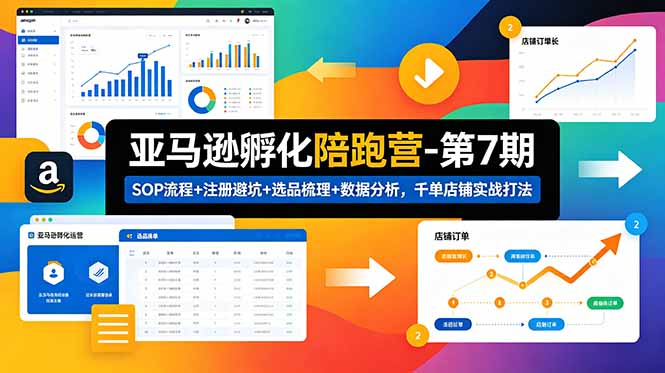 亚马逊孵化陪跑营-第7期：SOP流程+注册避坑+选品梳理+数据分析，千单店铺实战打法(更新0625-HEIXMI（中国站）