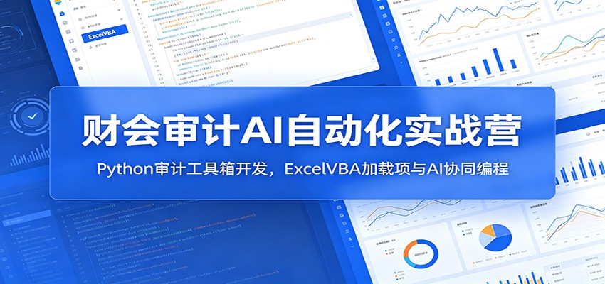 财会审计AI自动化实战营：Python审计工具箱开发，ExcelVBA加载项与AI协同编程-HEIXMI（中国站）