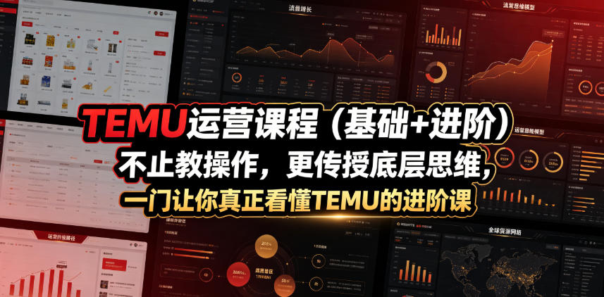 TEMU运营课程(基础+进阶)，不止教操作，更传授底层思维，一门让你真正看懂TEMU的进阶课-HEIXMI（中国站）