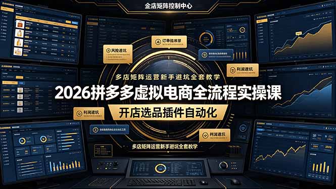 2026拼多多虚拟电商全流程实操课，开店选品插件自动化，多店矩阵运营新手避坑全套教学-HEIXMI（中国站）