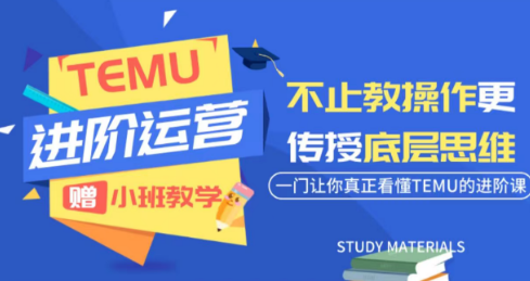 阿卡林·TEMU运营课程(基础+进阶)-HEIXMI（中国站）