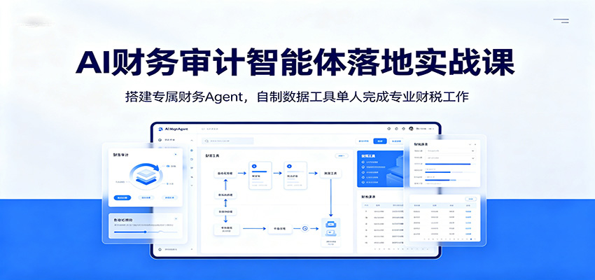 AI财务审计智能体落地实战课：搭建专属财务Agent，自制数据工具单人完成专业财税工作-HEIXMI（中国站）