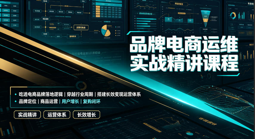 品牌电商运维实战精讲课程｜吃透电商品牌落地逻辑、穿越行业周期、搭建长效变现运营体系-HEIXMI（中国站）