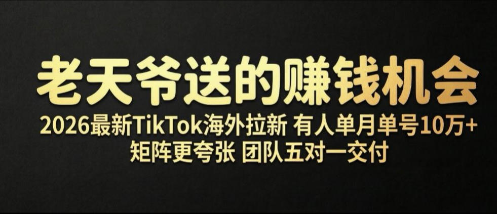 老天爷送的賺钱机会！2026最新TikTok海外拉新，有人单月单号10W+，矩阵更夸张，团队交付【揭秘】-HEIXMI（中国站）