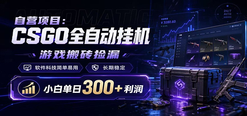 CSGO挂机捡漏项目通过利用游戏饰品交易机制，结合薄凉软件辅助捡漏，实现盈利-HEIXMI（中国站）