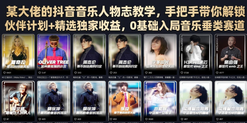 某大佬的抖音音乐人物志教学，手把手带你解锁伙伴计划+精选独家收益，0基础入局音乐垂类赛道-HEIXMI（中国站）