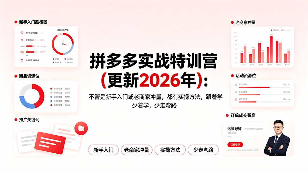 拼多多实战特训营(更新2026年-HEIXMI（中国站）