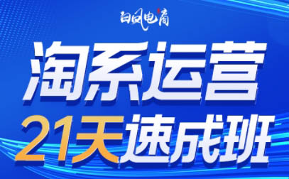 白凤电商·淘系运营21天速成班(更新7月)-HEIXMI（中国站）