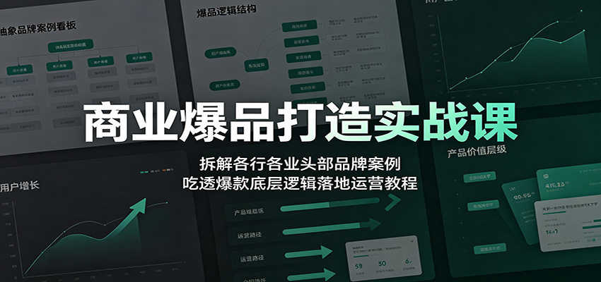 商业爆品打造实战课：拆解各行各业头部品牌案例，吃透爆款底层逻辑落地运营教程-HEIXMI（中国站）