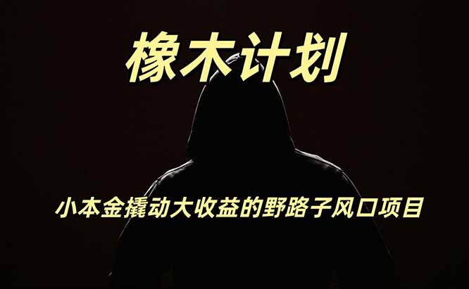 橡木计划，小投入撬动高回报的风口野路子项目，一天投入2小时左右-HEIXMI（中国站）