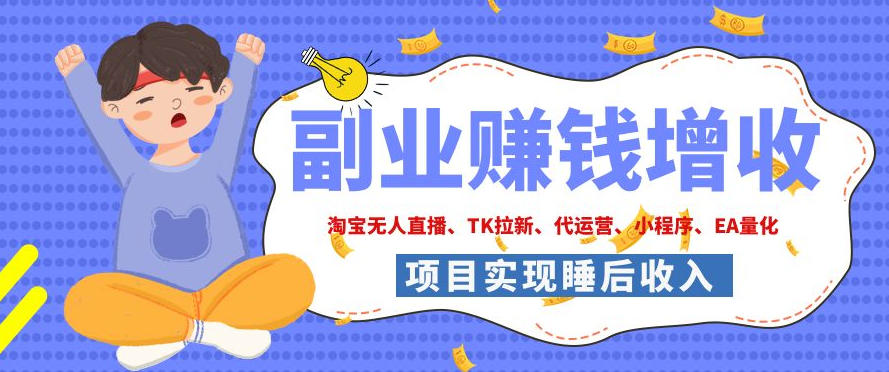 2026年多个真实落地副业项目，手把手带你搭建被动收入管道(淘宝无人直播、海外TK拉新、CSGO饰品交易、去水印小程序等)【揭秘】-HEIXMI（中国站）