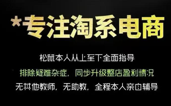 松鼠会电商VIP课程，从基础布局到高阶优化，助你掌握淘宝运营逻辑，提升店铺流量与转化(更新0815)-HEIXMI（中国站）