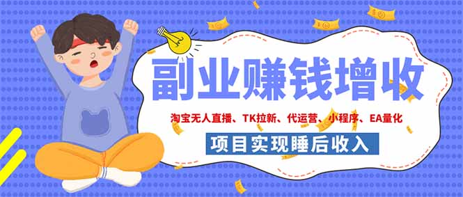 2026年多个真实落地副业项目，手把手带你搭建被动收入管道(淘宝无人直播、海外TK拉新...-HEIXMI（中国站）