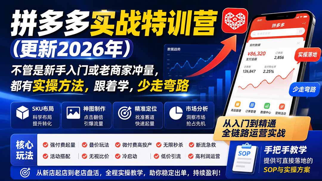 拼多多实战特训营(更新26年0821-HEIXMI（中国站）