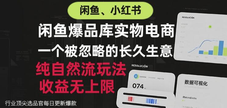 闲鱼小红书实物电商，纯自然流玩法，一个被忽略的长久生意，收益无上限【揭秘】-HEIXMI（中国站）