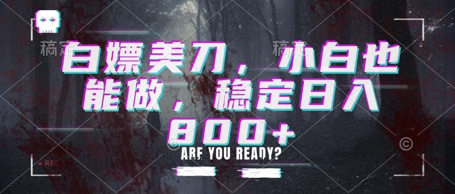 白嫖美刀，小白也能做，稳定日入800+-HEIXMI（中国站）