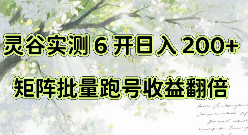 一台电脑就能做！灵谷实测6开日入200+，矩阵批量跑号收益翻倍【揭秘】-HEIXMI（中国站）