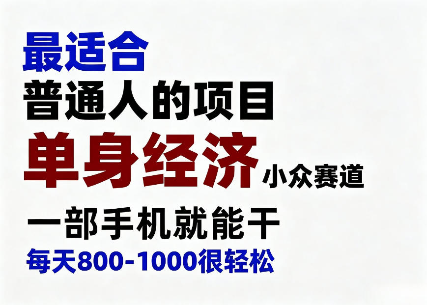 身经济小众赛道，一部手机就能干，每天搞个800-1000很轻松，最适合普通人的项目【揭秘】-HEIXMI（中国站）