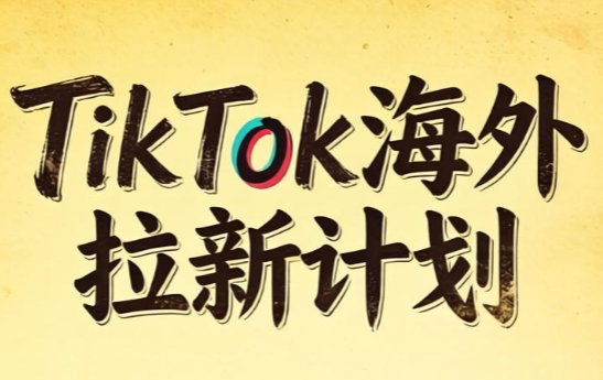 Tc联盟·TikTok海外拉新项目(更新9月)-HEIXMI（中国站）