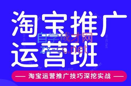 美迪电商·淘宝高级运营班+推广运营班(更新9月)-HEIXMI（中国站）